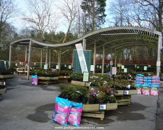 Shaded area for plants