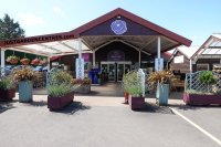Entrance to Henry Street Garden Centre
