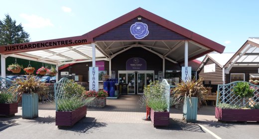Entrance to Henry Street Garden Centre