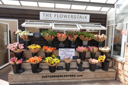 Flowerstalk ocassion flowers