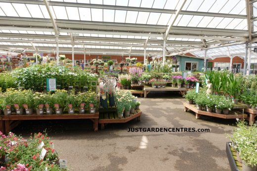 Covered plants area at Henry Street Garden Centre