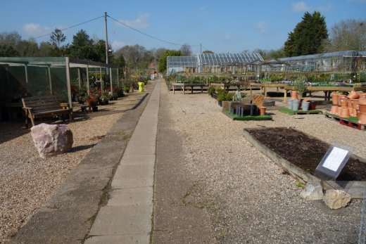 Plants area at Hintons Nursery in Warwick