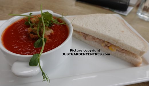 Soup and sandwich