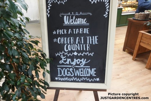 Dog Friendly Welcome