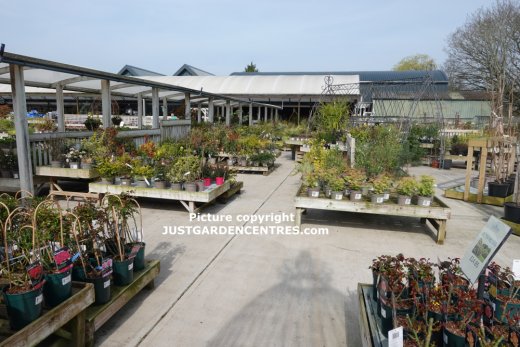 Outside plants area