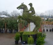 Lots of topiary for sale