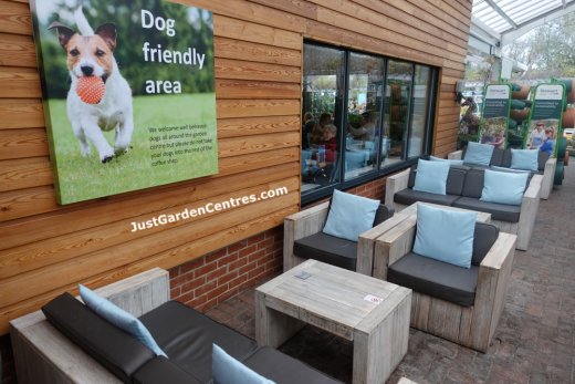 Dog friendly seating area for cafe