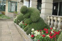 Topiary at the entrance to the garden centre