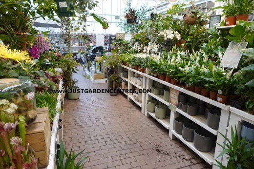 Houseplants at Nailsworth Garden Centre
