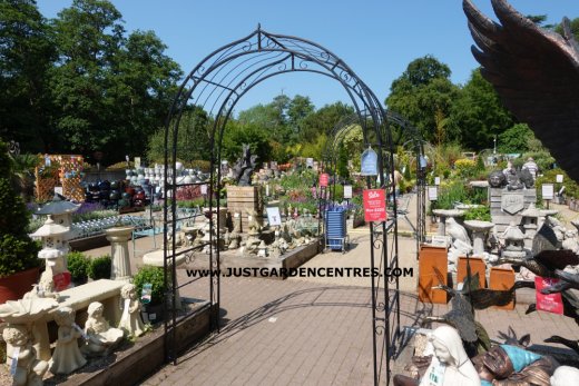 Plants area at Nailsworth Garden Centre