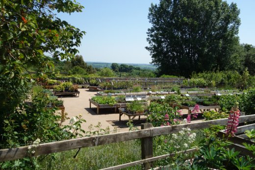 Countryside view at National Herb Centre