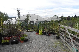 Neil Thompson Nurseries