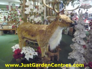 Christmas display at Notcutts Solihull