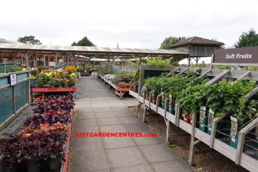 View of outside plants area