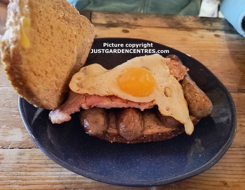 Our Breakfast "bap" at Preston Bissett Nurseries