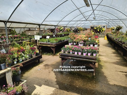 Plants view 2