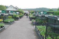 The layout of the plants area