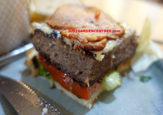 Beefburger side section view