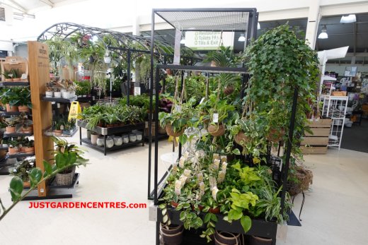 Indoor plants at Rugby Garden Centre