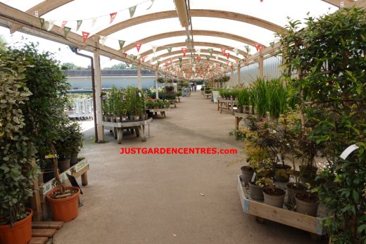 Plants area walkway at Rugby Garden Centre