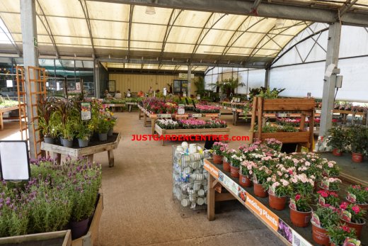 Covered area for tender plants