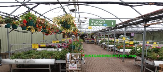 Plants area at Sapcote Garden Centre