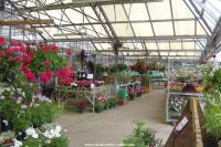 View of the covered plants area