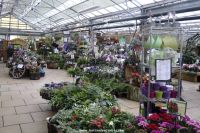 Covered plants area view 2