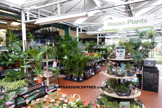 Houseplants sales area