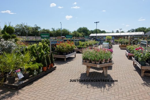 Plants area at Shinfield Garden Centre