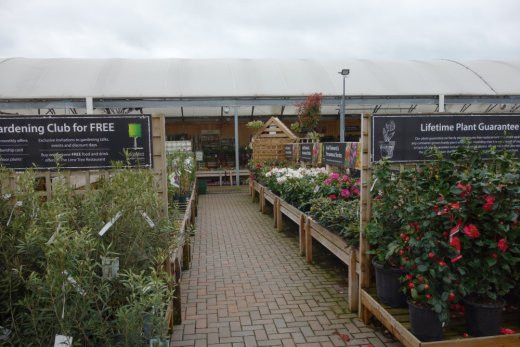 Plants area at Stratford Garden Centre