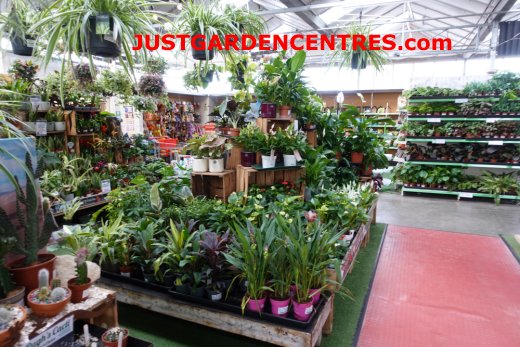 Houseplants at Studley Garden Centre