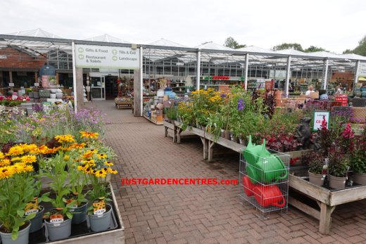 View of plants area at Studley Garden Centre
