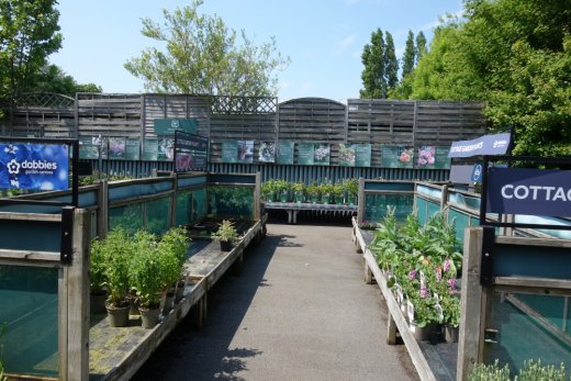 Partially empty plant bays in early June