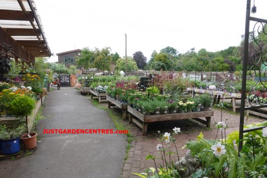 Outside plants area