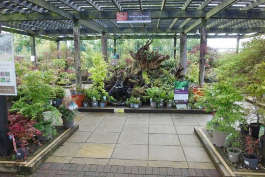 Display of shade loving plants