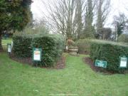 Excellent hedging display