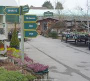 Good signs in plants area