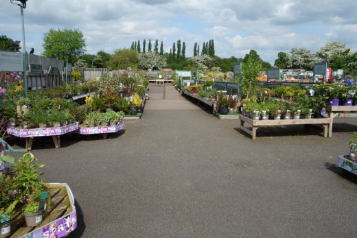 Plants area at Woburn Sands Emporium