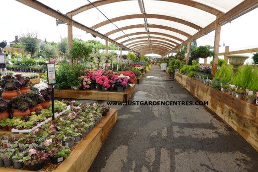 Plants area layout at Worlds End Garden Centre