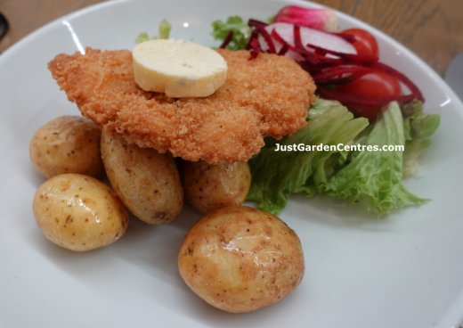 Chicken Schnitzel at Yarnton Home and Garden Cafe