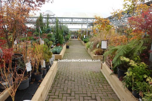 Plants area at Yarnton Home and Garden